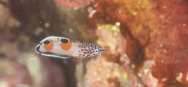 生物で賑やか☺️