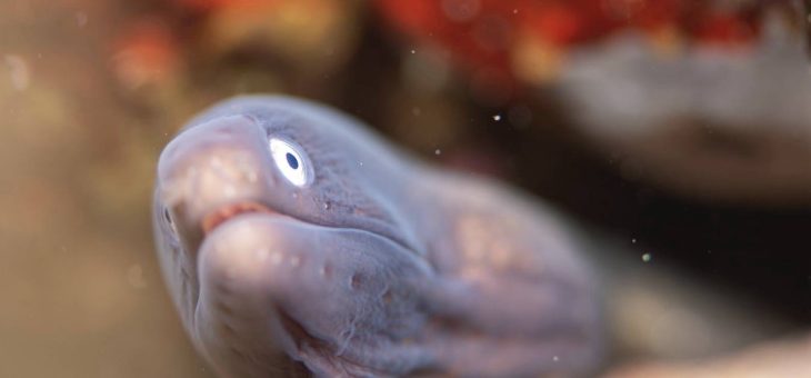 魚たちが元気✨