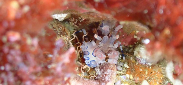 楽しい週末でした✨