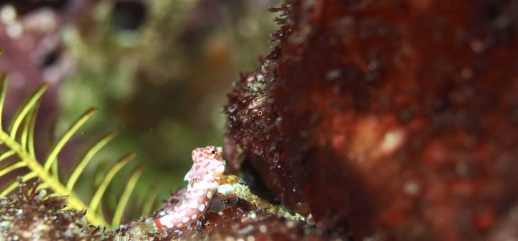 水温上昇⤴︎⤴