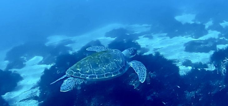 僕おめでとう㊗️