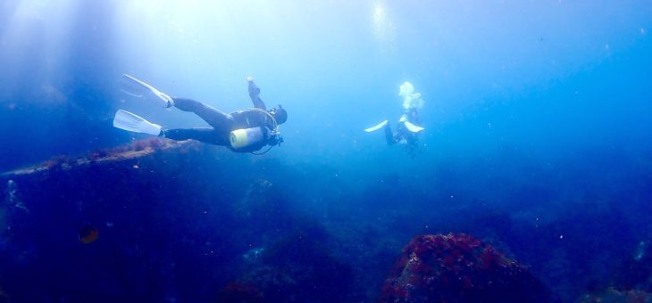 のんびりフォトダイビング