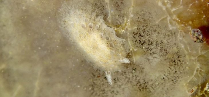 みんなありがとうね✨