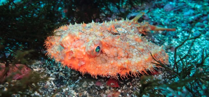 なんとか見つかったー👠💦