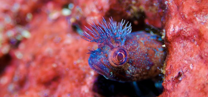 どひゃーー！青い～✨