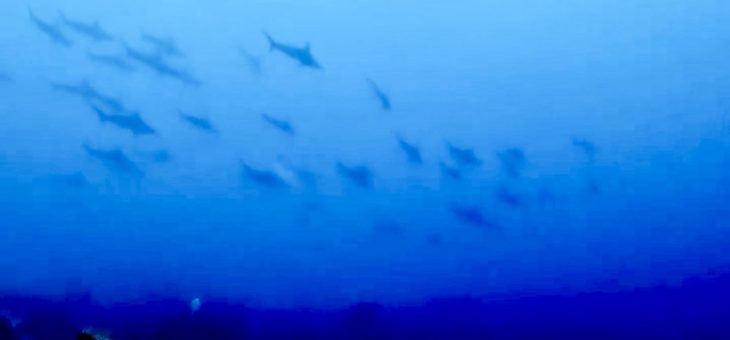 どひゃーーー🔨🔨🔨