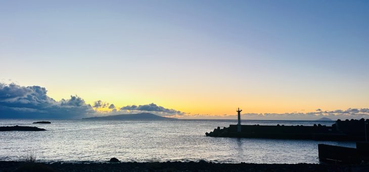 逢えなかった(>_<)