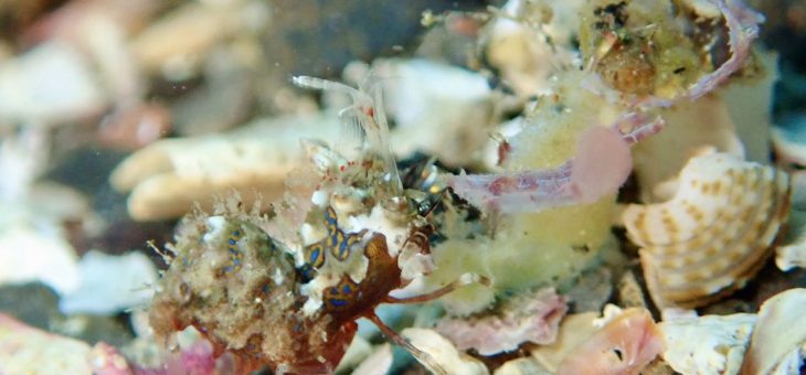 本日も絶好調✨