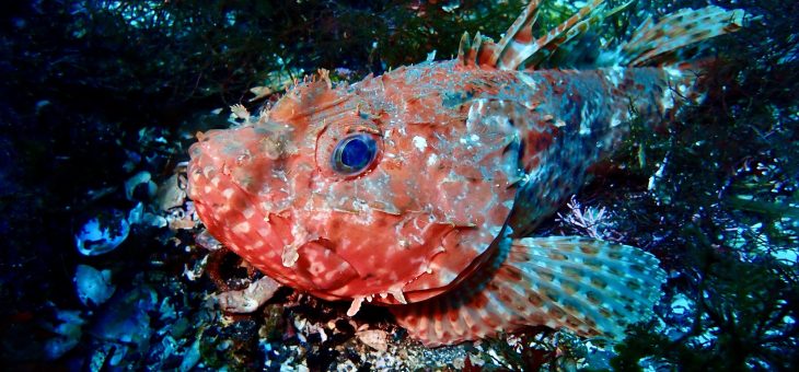 思い通りにはいかないですね💦