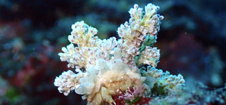 最高のコンディション✨