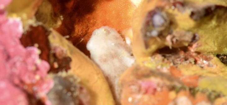 荒れましたぁ💦