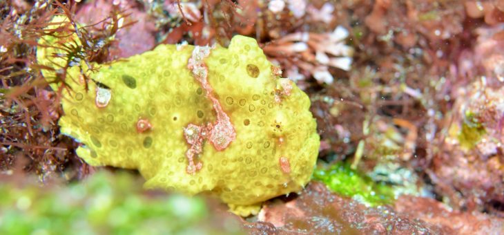 いろいろ登場してます✨