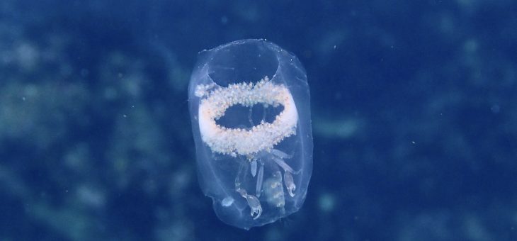 こんなに出たの初めてかも💦